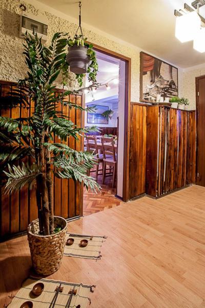 Villa Cztery Strony Swiata Zakopane Extérieur photo
